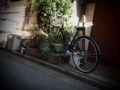 思い切って突入