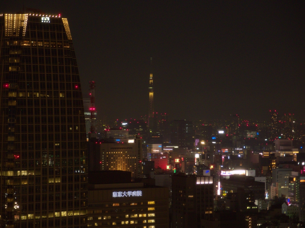 東京タワーから見たスカイツリー