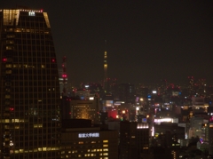 東京タワーから見たスカイツリー