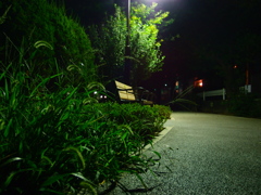 夜の歩道