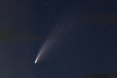 NEOWISE彗星 (C/2020 F3)