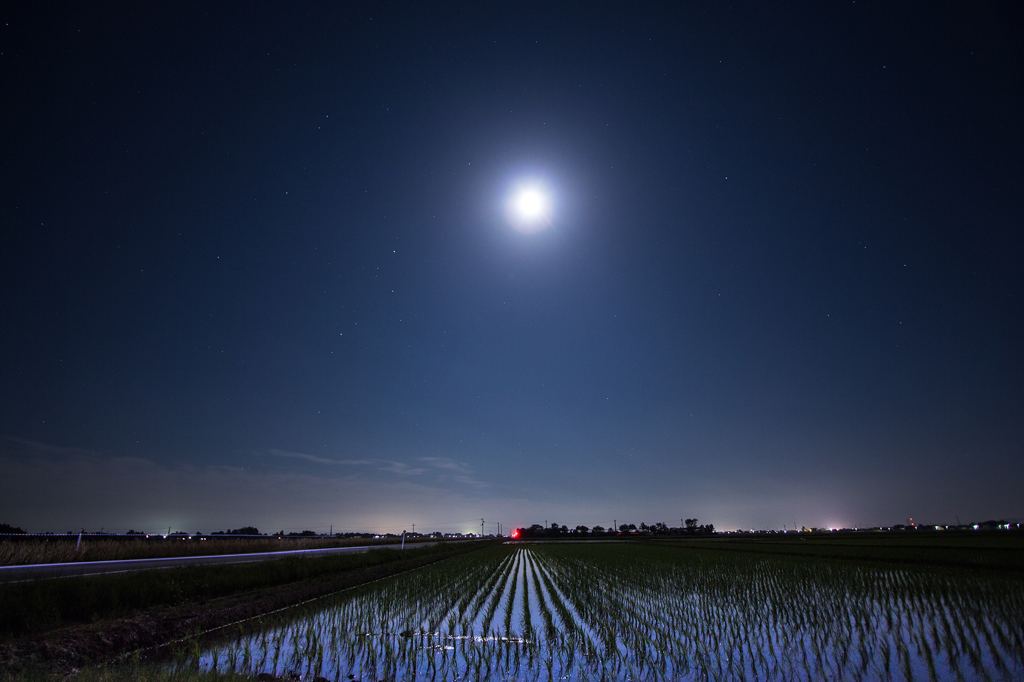 今宵は百万年に一度太陽が夜に遊びに訪れる日