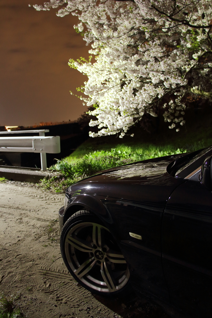 E46　桜と共に
