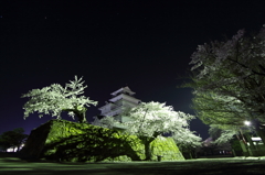 桜と鶴ヶ城