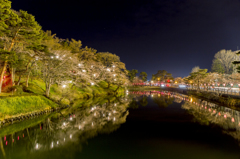 観桜会「桜はどこだ？ｗ」