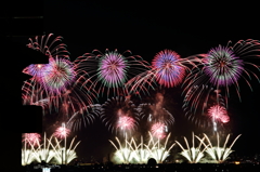 夏の夜はやっぱり花火に限る（゜∀゜）