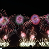 夏の夜はやっぱり花火に限る（゜∀゜）