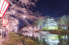 観桜会「水面に魅せられて」