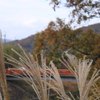 竜田川紅葉