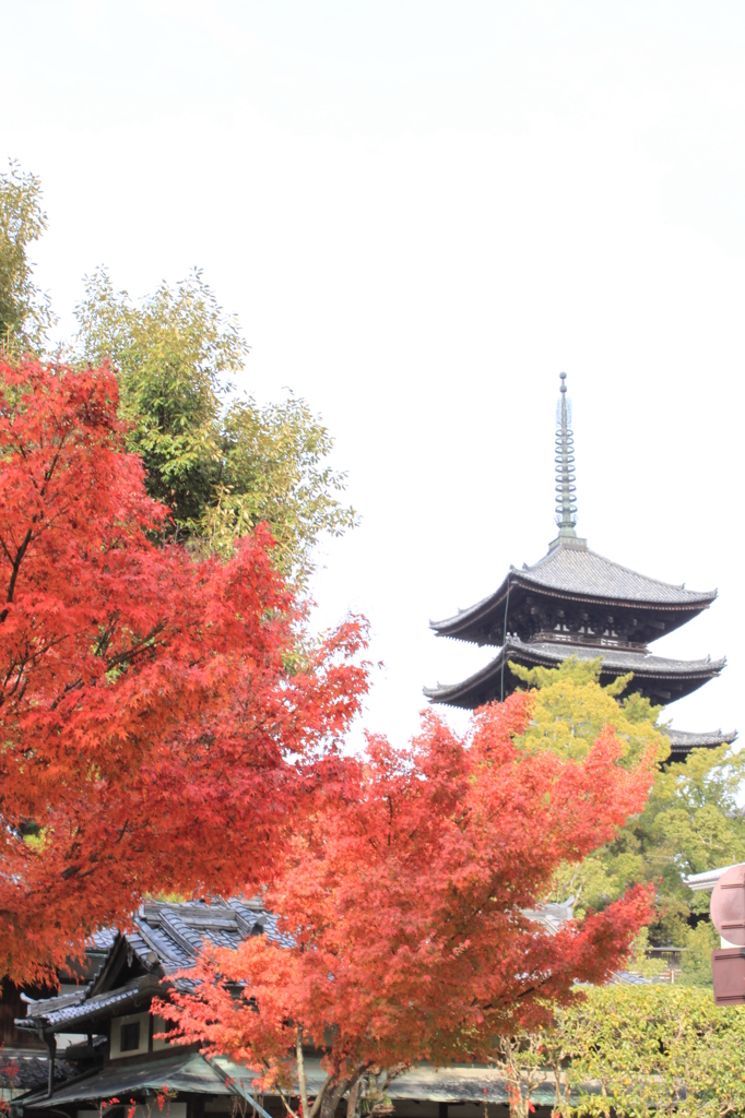奈良公園