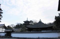 冬の当麻寺