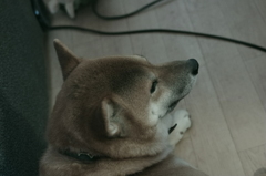 IMGP0083