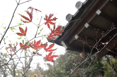 X2のあか⑦