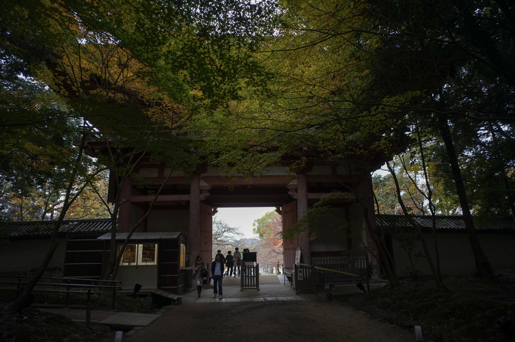 京都の秋日5
