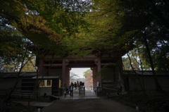 京都の秋日5