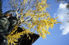 京都の秋日2