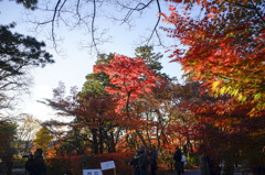京都の秋日4
