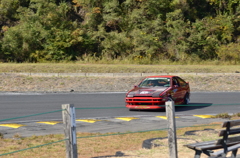 DSC_1401
