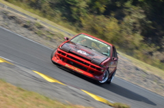 DSC_1754