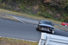 DSC_2336