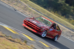 DSC_1977