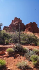 ＳＥＤＯＮＡ　セドナ