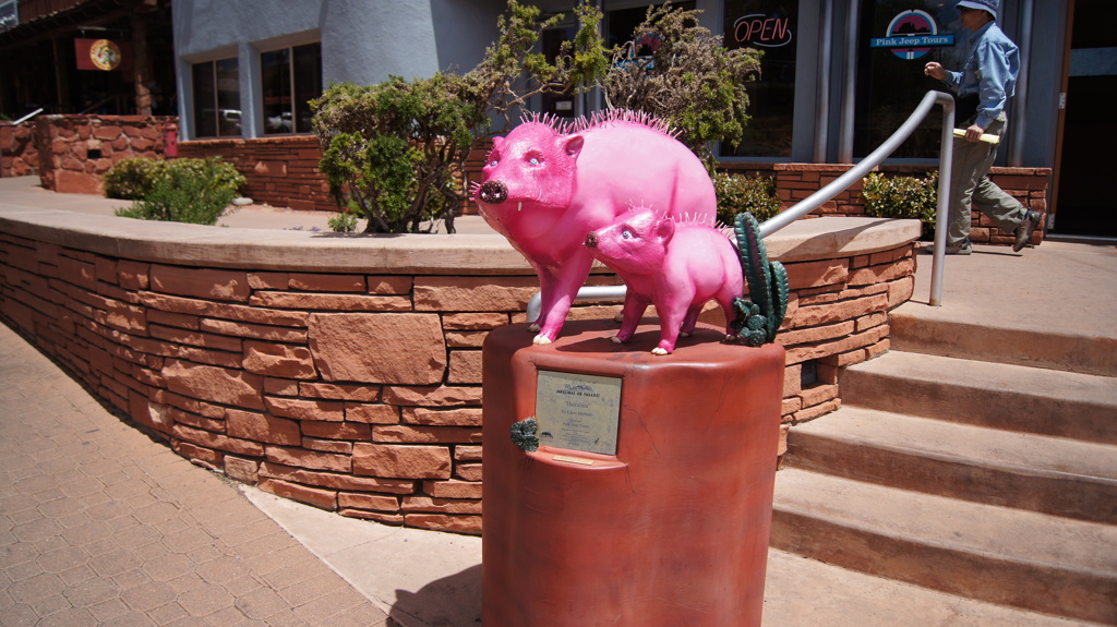 ＳＥＤＯＮＡ　セドナ