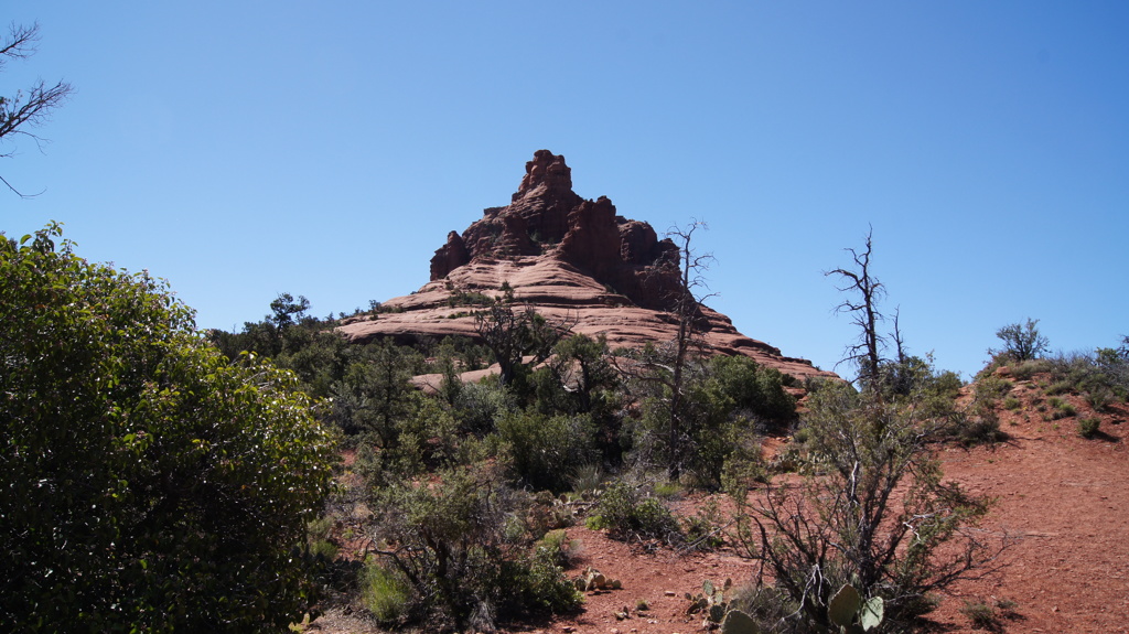 ＳＥＤＯＮＡ　セドナ　ベルロック