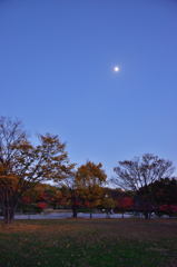 紅葉　3