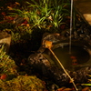 P1020774