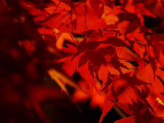 P1020628