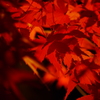 P1020628