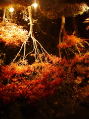 P1020838