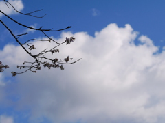 P1010837