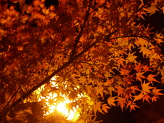 P1020313