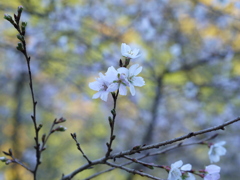 P1010451