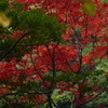 P1020545