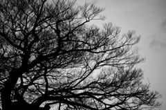 DSCF1660