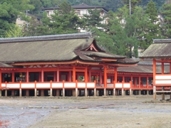 hiro032