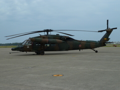P1010654