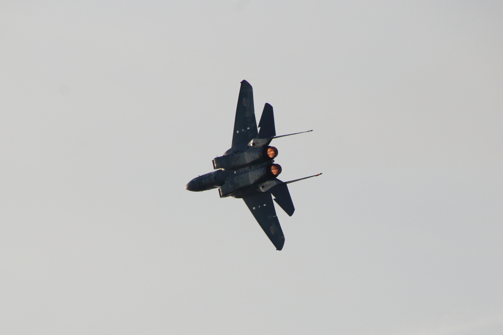 岐阜航空祭F150001