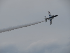 IMG_2384
