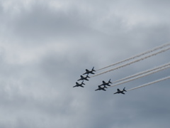 IMG_2516