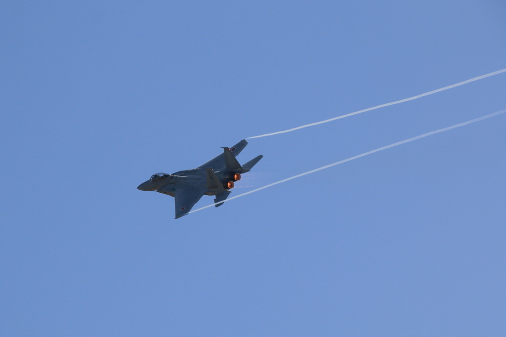 岐阜航空祭F150009