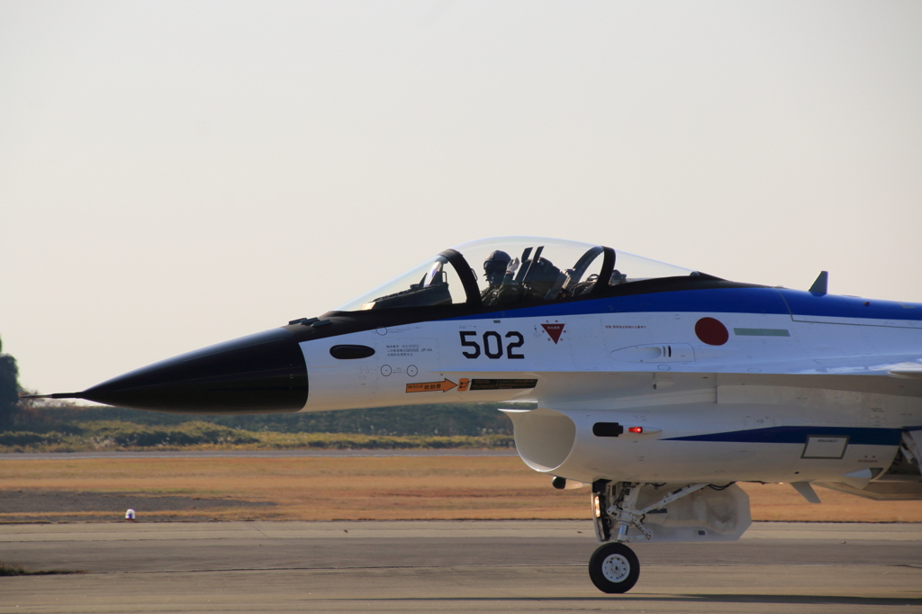 岐阜航空祭F20007