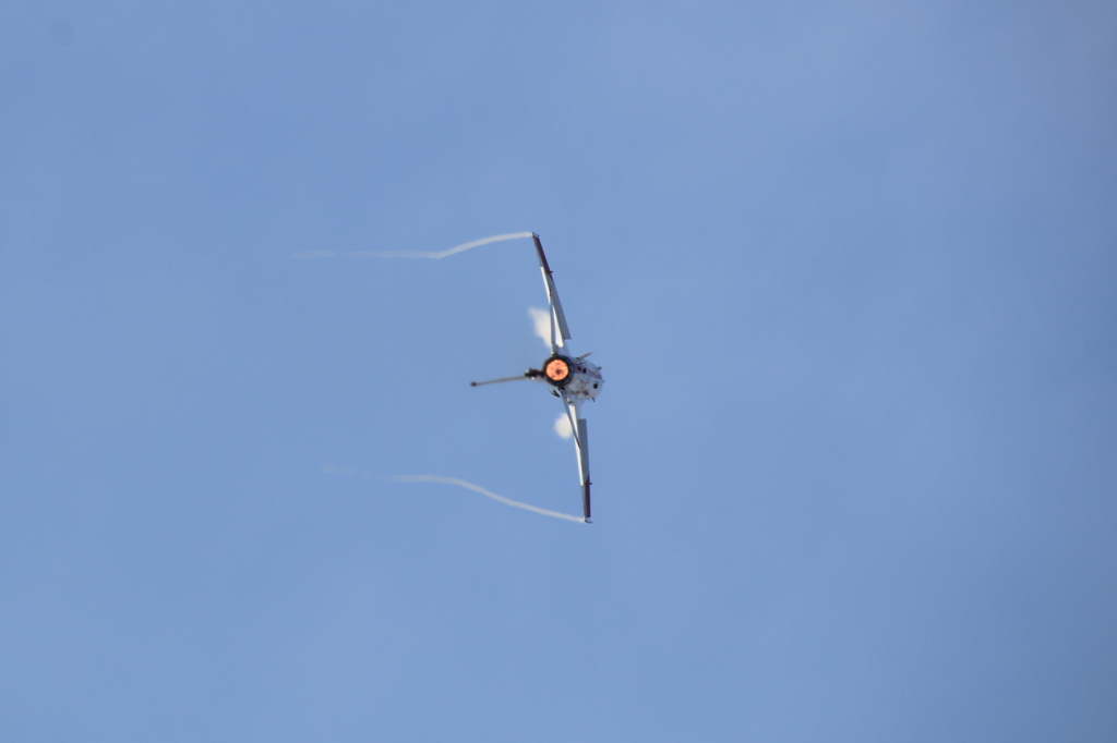岐阜航空祭F20002