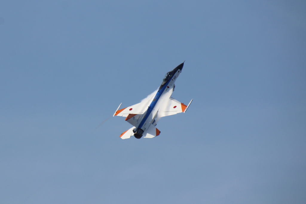 岐阜航空祭F20001