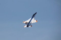岐阜航空祭F20001