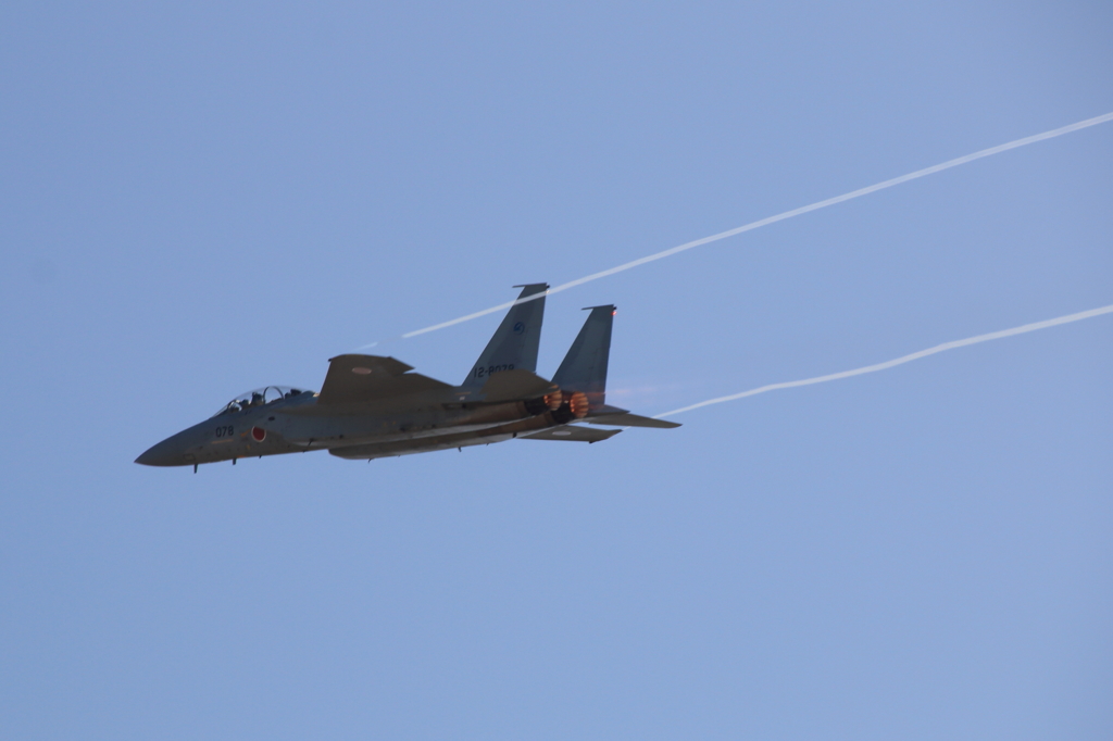 岐阜航空祭F150008