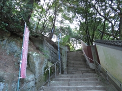 hiro275